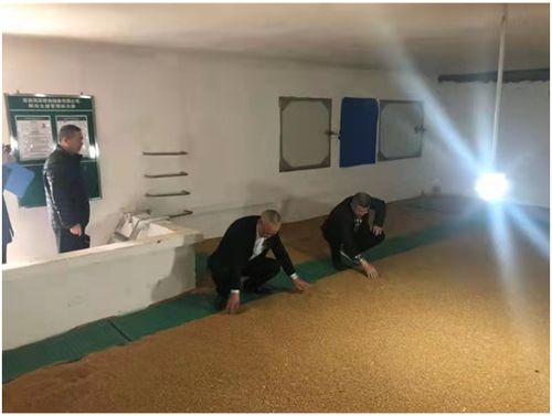 積極落實查庫制度 農發行自貢市分行切實保障糧食安全