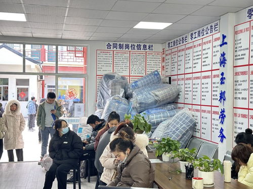 求職者 中介 工廠,勞務市場里的去留進退 上海,誰在進廠 ①