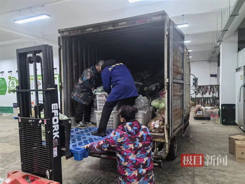 雪后武漢鮮活農(nóng)產(chǎn)品產(chǎn)銷兩旺，日均交易量突破7000噸