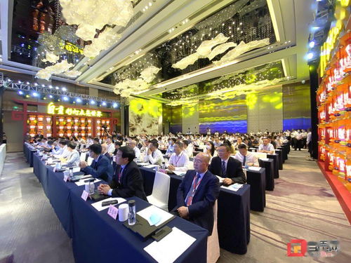 以更加開放的姿態(tài)擁抱世界——回眸自貢參與第十八屆中國(guó)西部國(guó)際博覽會(huì)